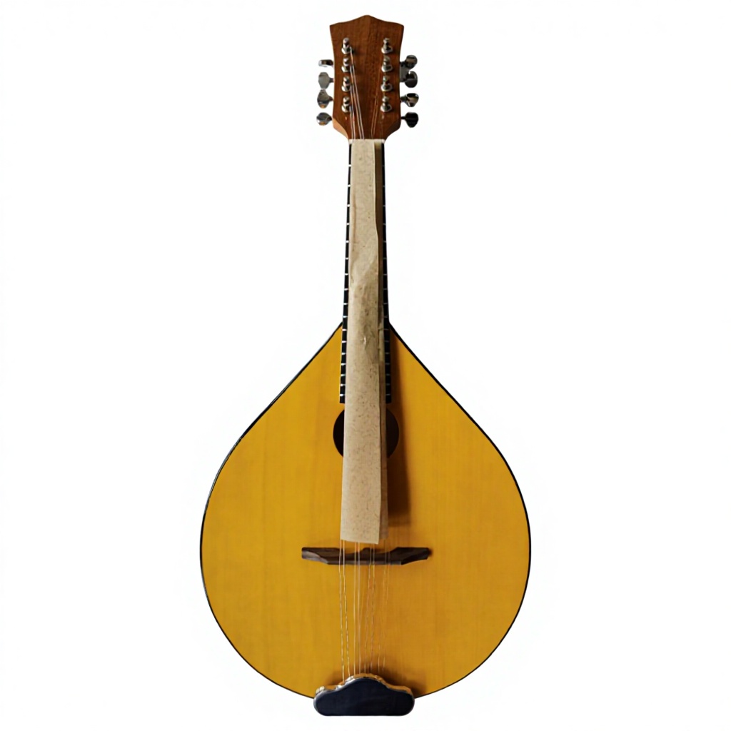 Mandolin A Style - Banjo acoustique à 8 cordes, dos