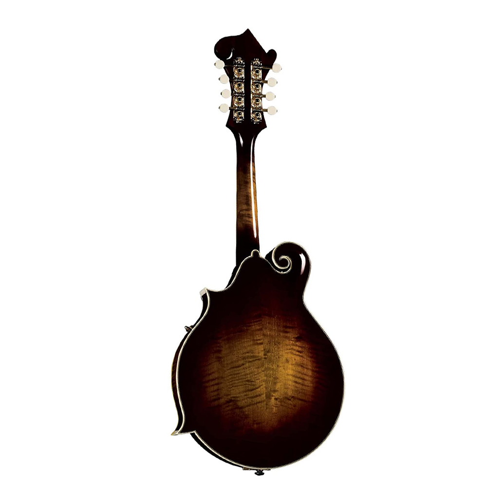 Instrument de musique acoustiq - Mandolin A Style avis et prix