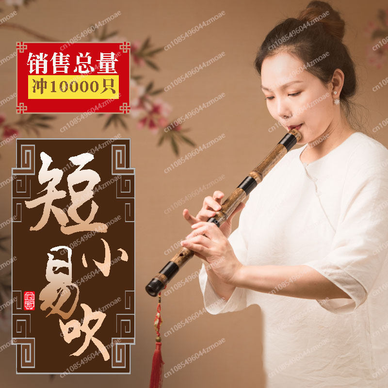 Flûte professionnelle à 8/6 tr - Musical Instrument You Blow avis et prix