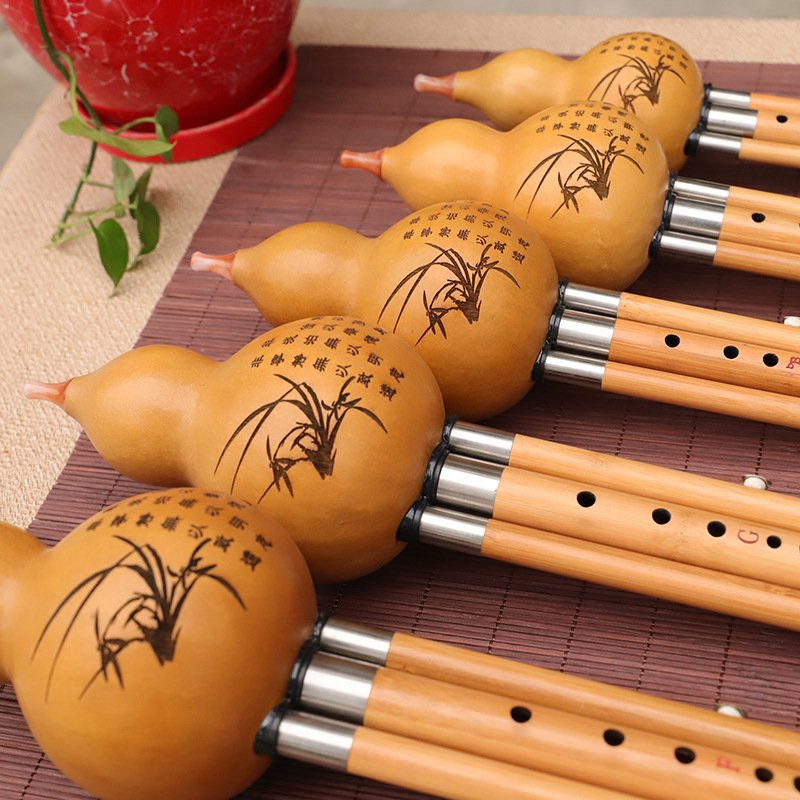 Nanzhu – Instrument de musique - Musical Instrument You Blow avis et prix