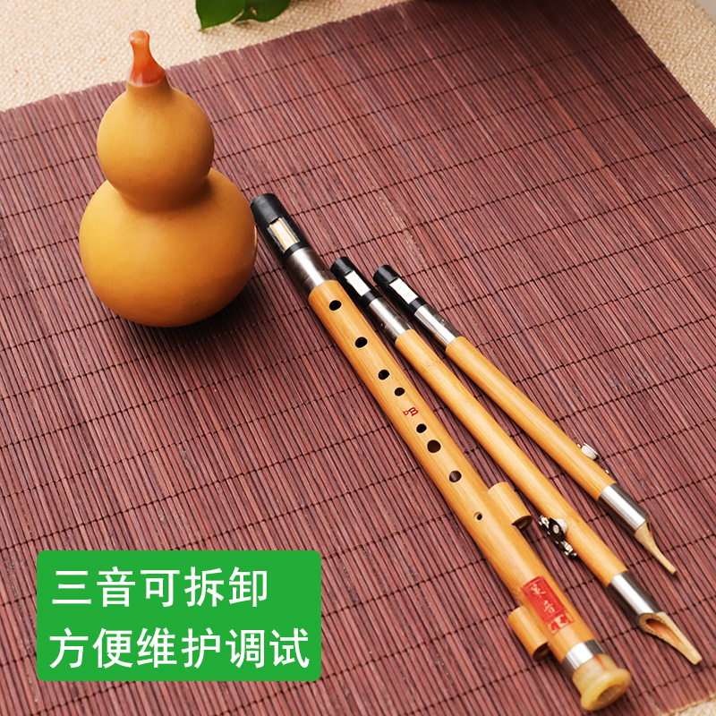 Nanzhu – Instrument de musique - Musical Instrument You Blow avis et prix