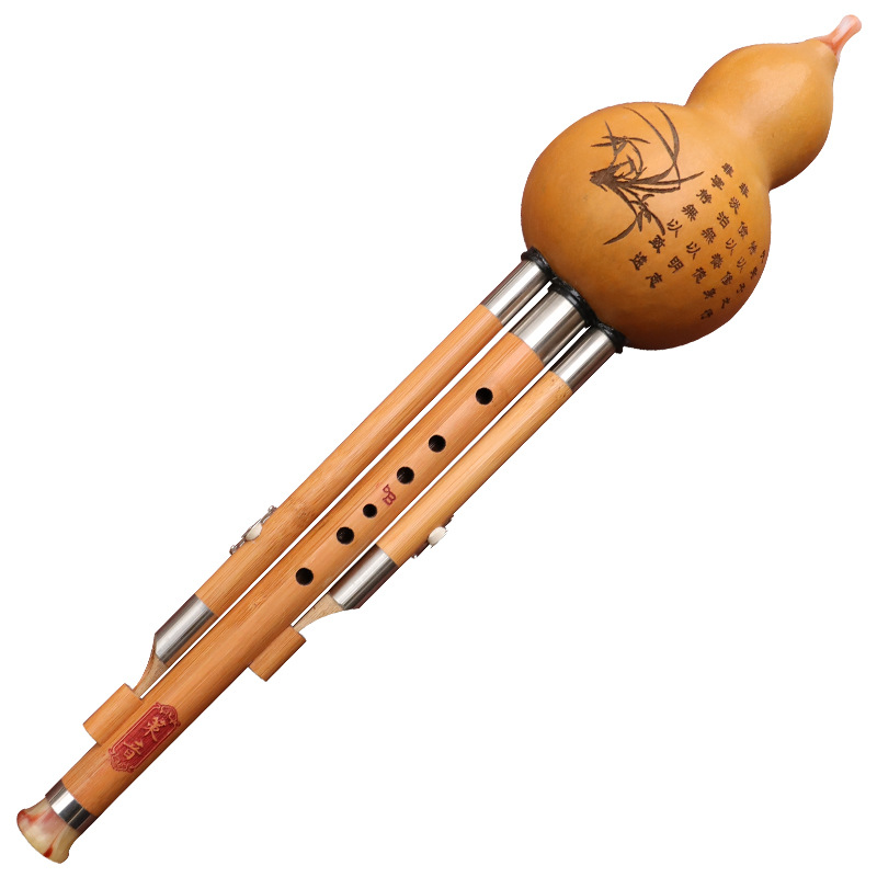 Nanzhu – Instrument de musique - Musical Instrument You Blow avis et prix